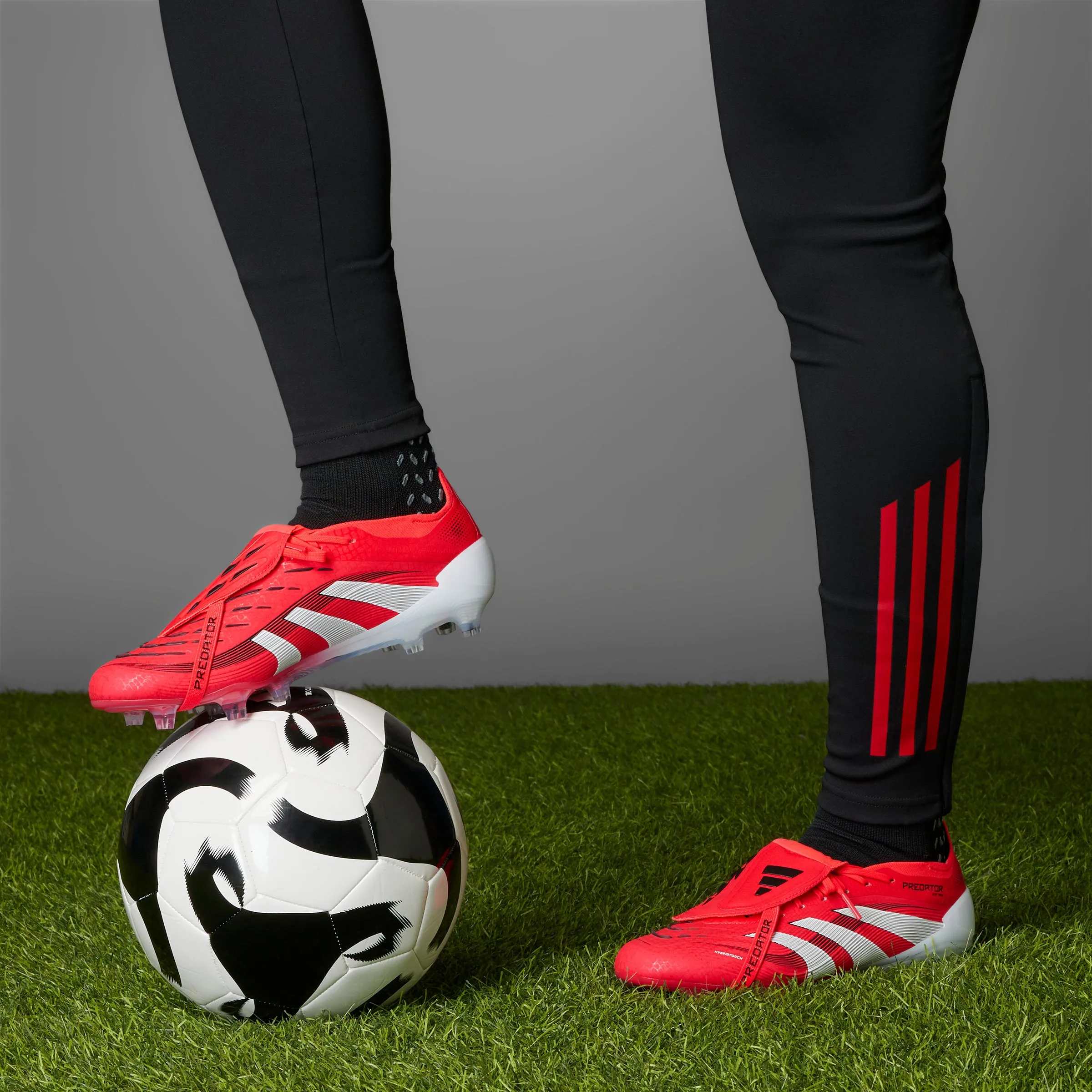 adidas Predator Elite FT FG Firm Ground - lucid red/ftwr white/core black