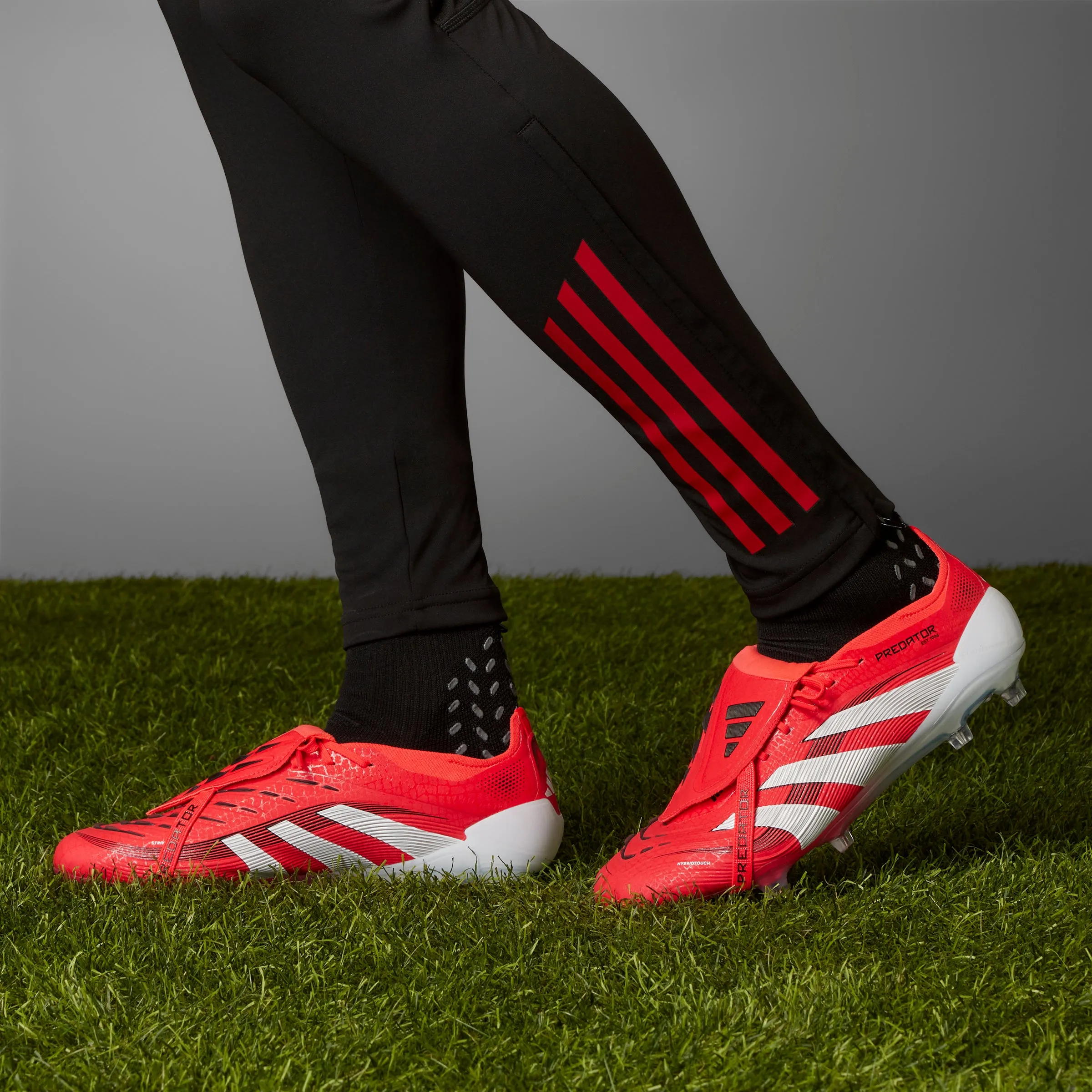 adidas Predator Elite FT FG Firm Ground - lucid red/ftwr white/core black