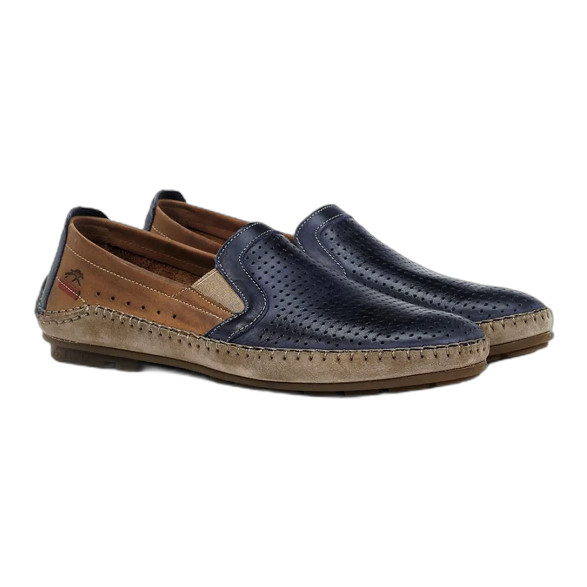 Dorian F1172