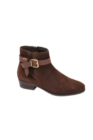 Petra In Brown